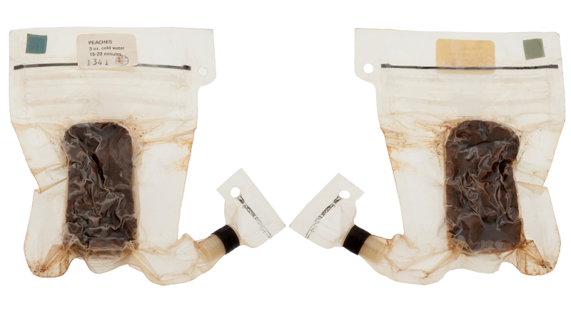 Illustration for article titled Buzz Aldrin's Moon Toothbrush (And Much, Much More) Is For Sale
